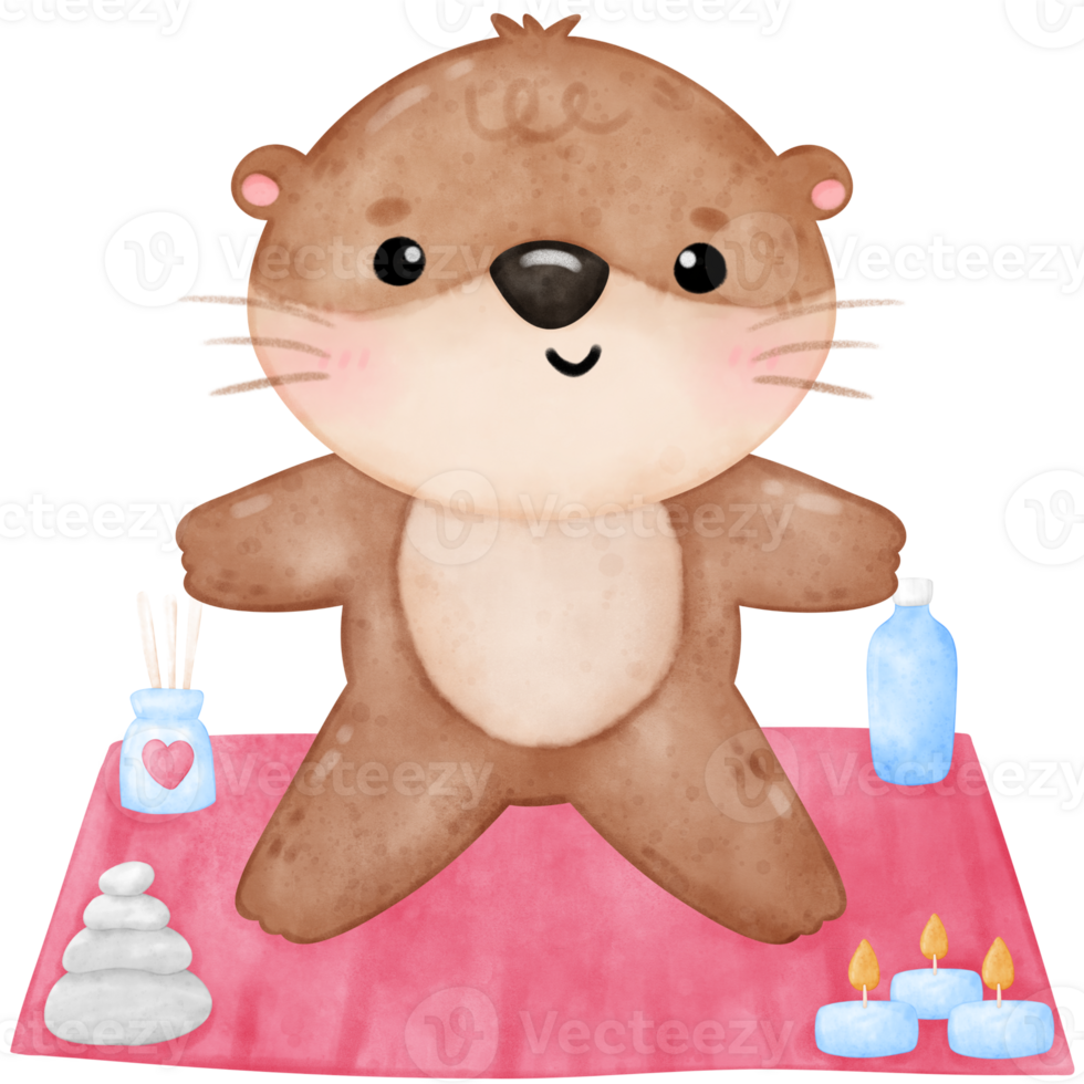 mignonne loutre yoga, yoga, yoga loutre, yoga ours, yoga pose png