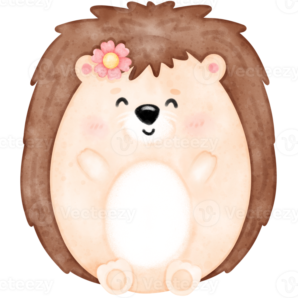 Cute hedgehog, baby hedgehog png