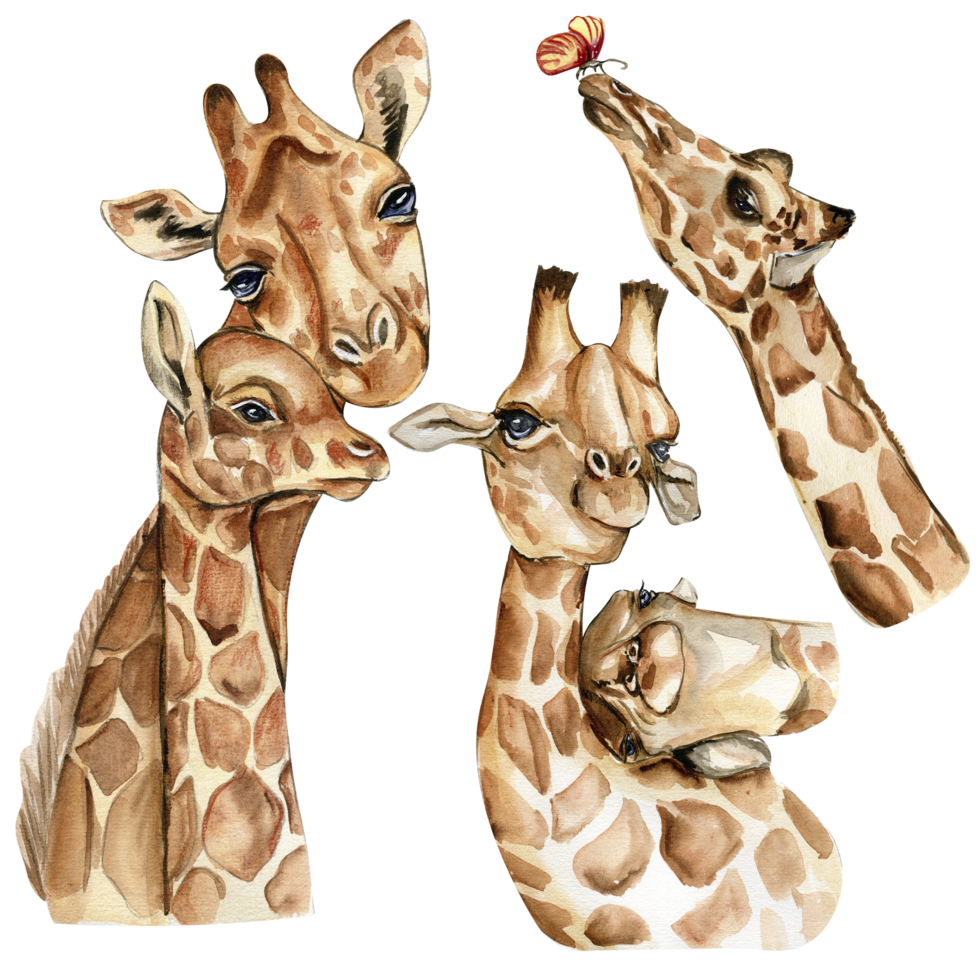 Watercolor giraffe illustration, png