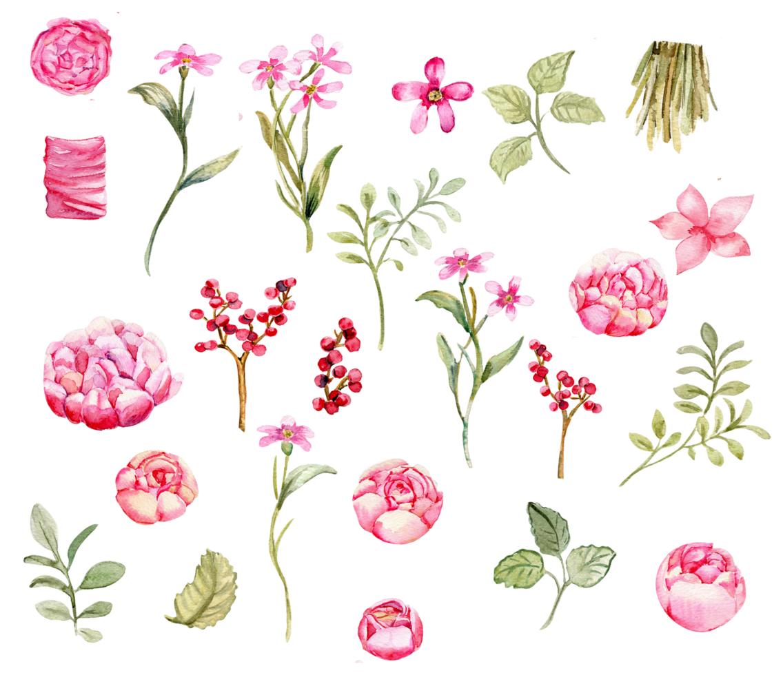 acquerello illustrazione impostato di Rose elementi. disegnato a mano fioritura fiori . Perfetto per nozze invito, saluti carta, manifesti, festa arredamento. png