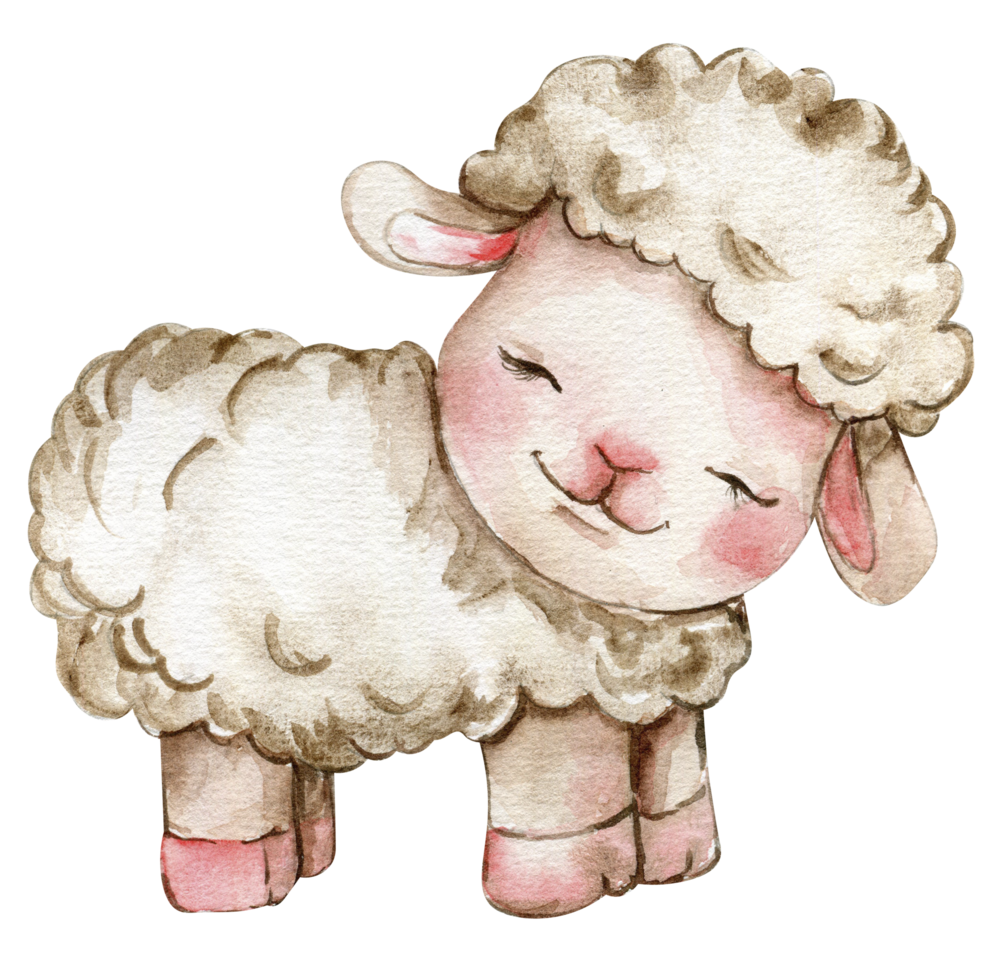 Watercolor hand drawn cute white fluffy sheep. png