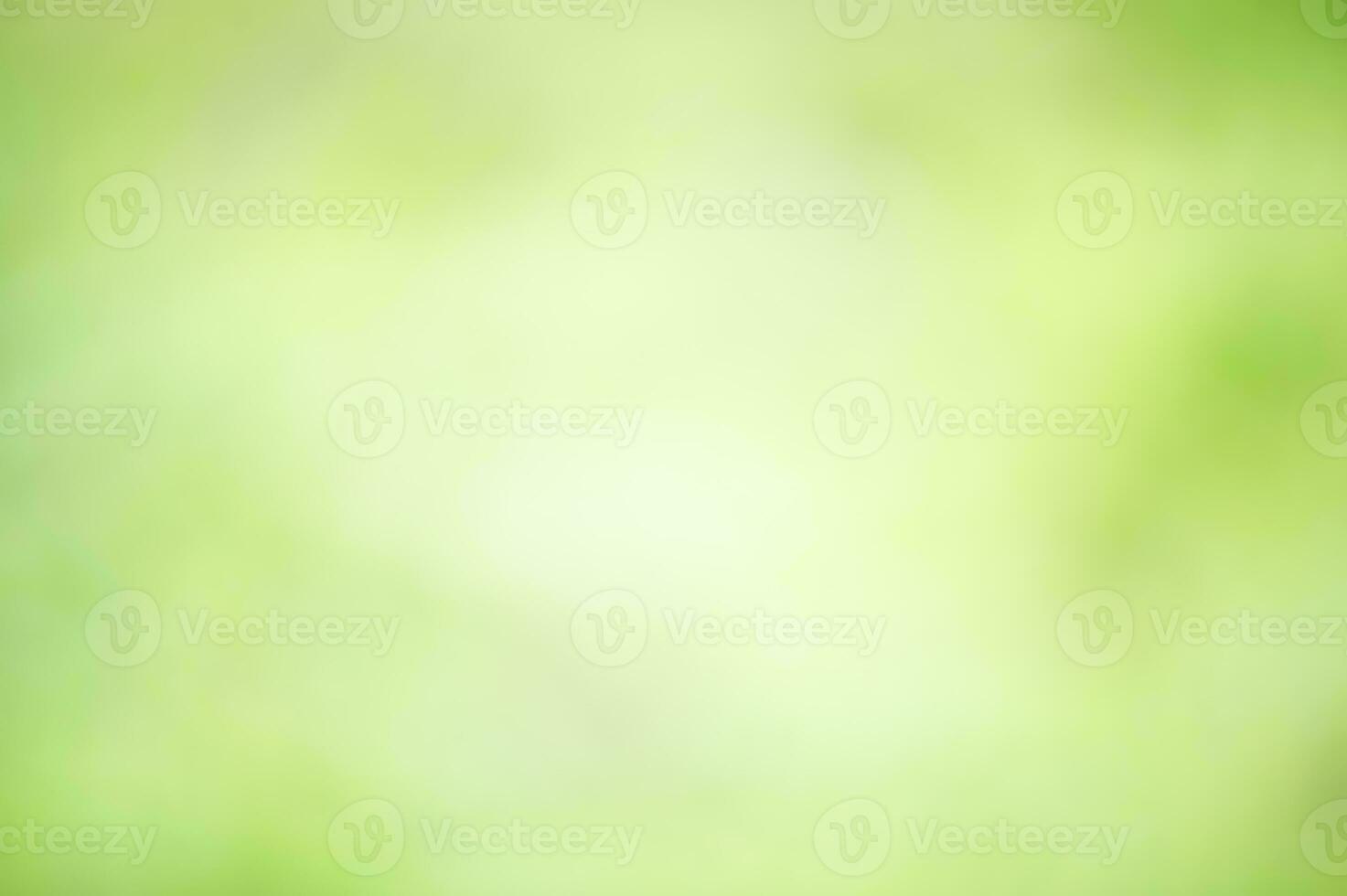 Defocused green natural background. Abstract background defocus light blurred green leaves. photo