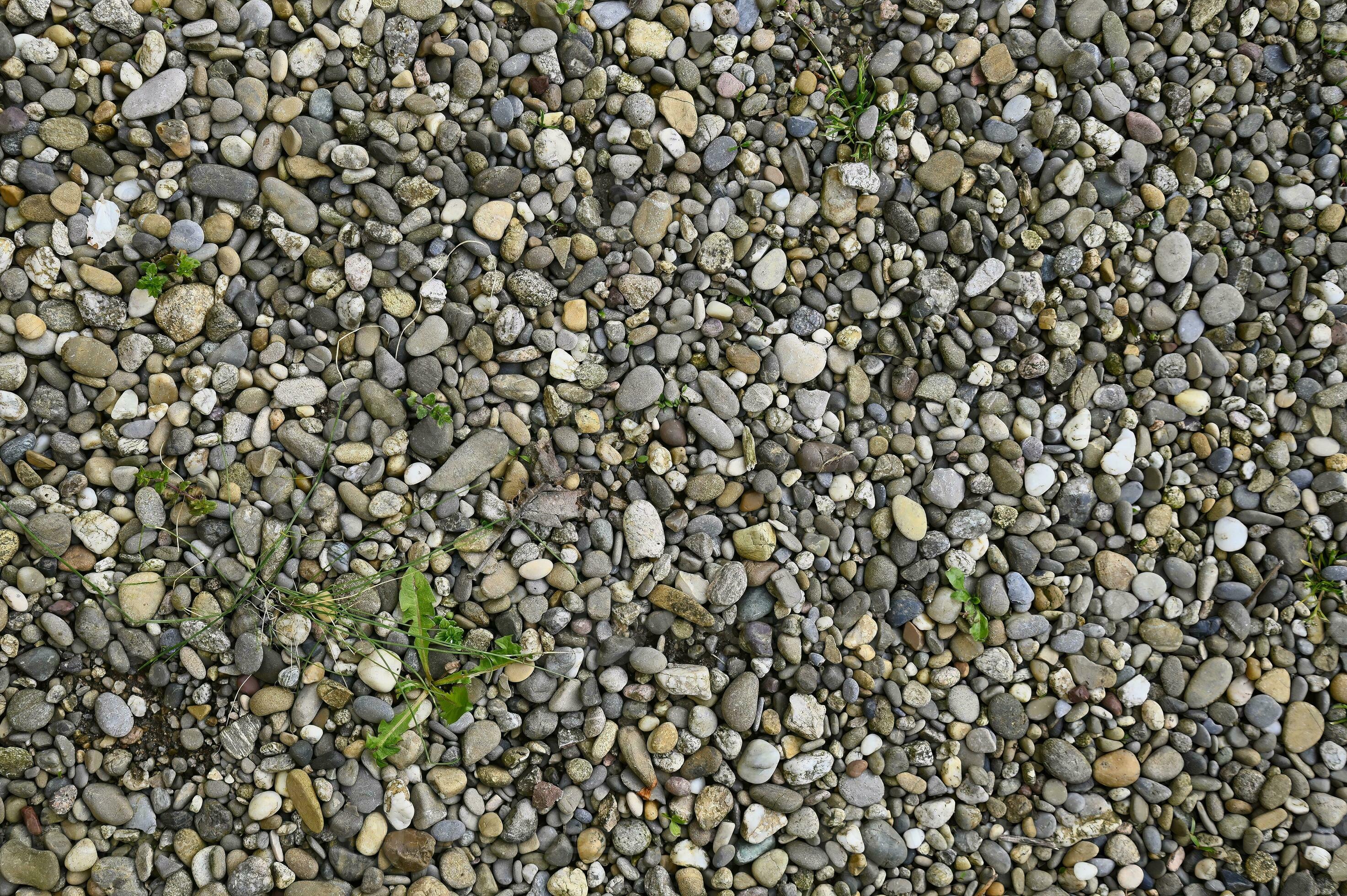 Gravel path with some grass 24209908 Stock Photo at Vecteezy
