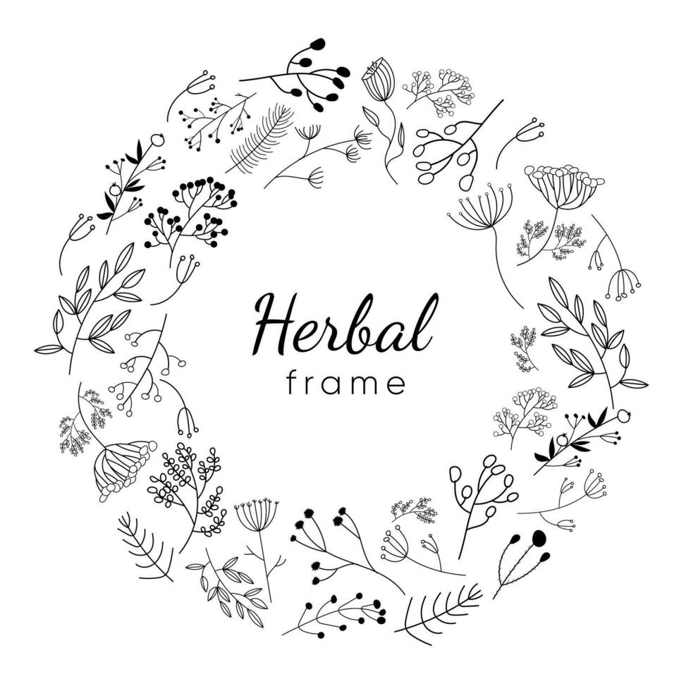 Vector flower round frame line art. Floral card with leaves