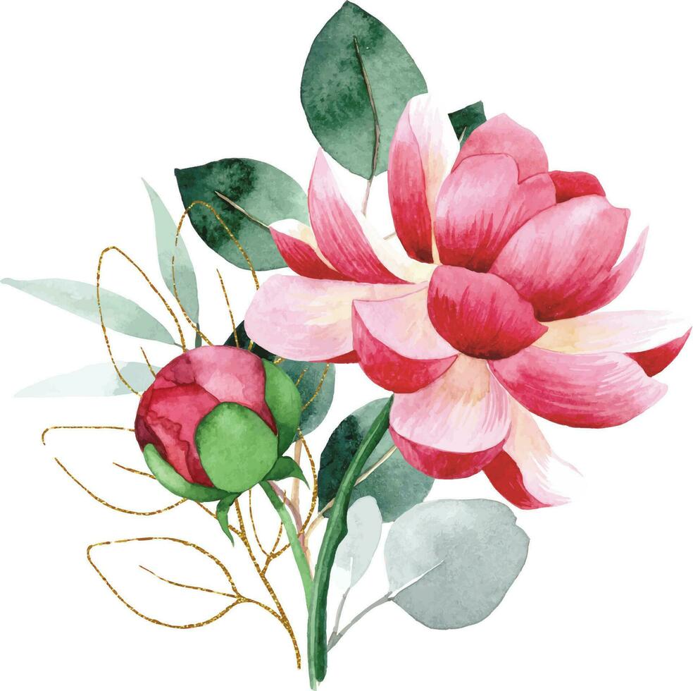 watercolor drawing, a bouquet of flowers and leaves of eucalyptus with golden elements vector