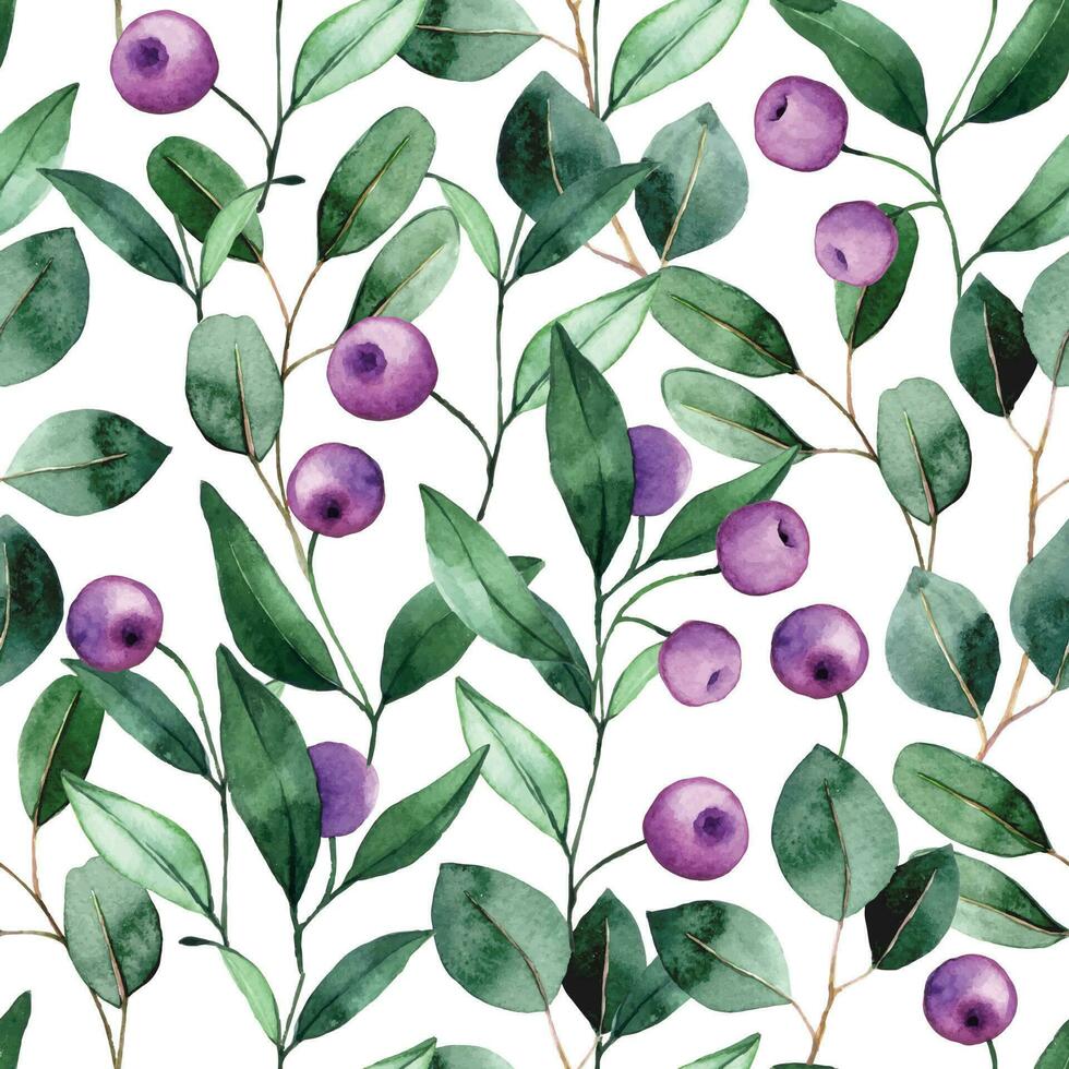 watercolor seamless pattern with purple berries and eucalyptus leaves on a white background vector