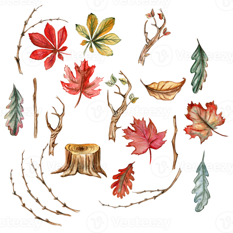 Herbst einstellen von Blätter und Pilze. Hand gezeichnet Illustration von Herbst. perfekt zum Scrapbooking, Kinder Design, Hochzeit Einladung, Poster, Schöne Grüße Karten, Party Dekoration. png