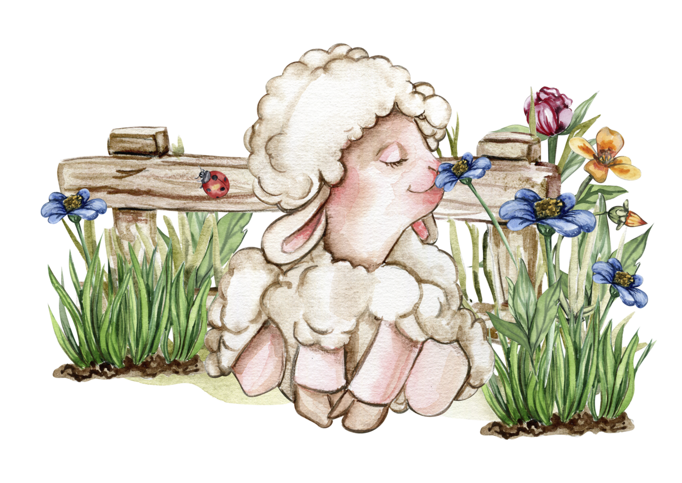 White fluffy sheep sitting in the grass with flowers and butterflies next to wooden fence. Watercolor hand drawn illustration of farm baby animal . Perfect for greetings card, poster, fabric pattern. png
