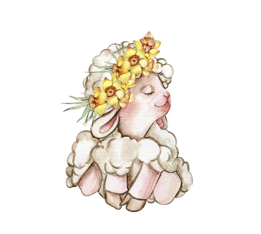 Watercolor white fluffy sheep with wreath made from yellow narcissus flowers on its head. Illustration of farm baby animal. Perfect for wedding invitation,greetings card,poster, fabric patterns. png