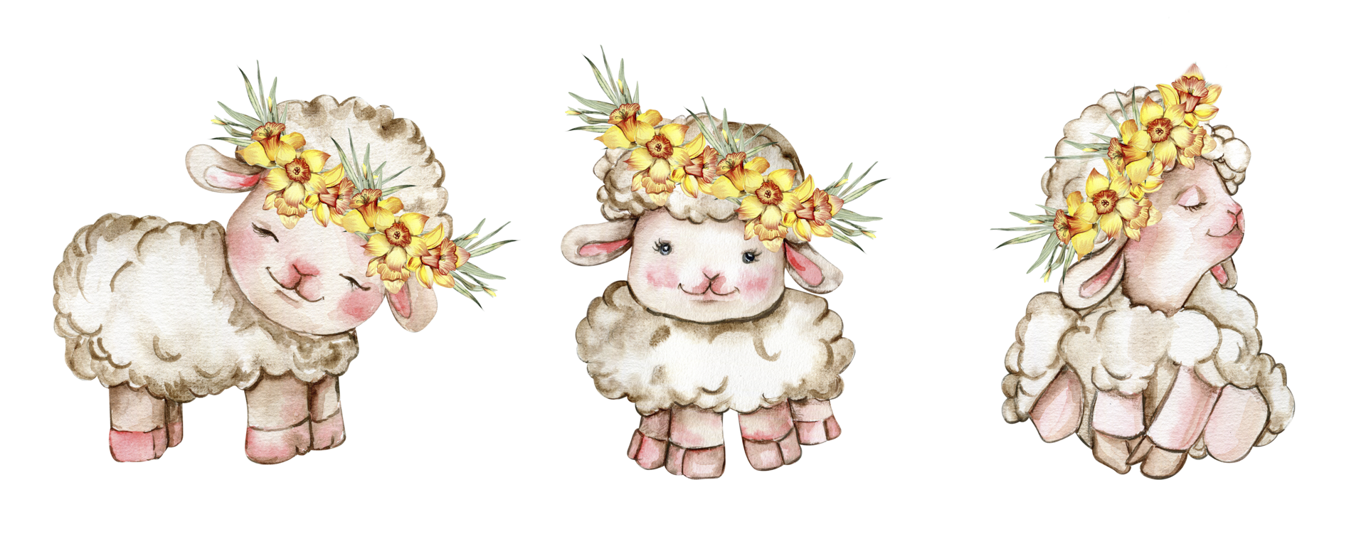 Watercolor white fluffy sheep with wreath made from yellow narcissus flowers on its head. Illustration of farm baby animal. Perfect for wedding invitation,greetings card,poster, fabric patterns. png