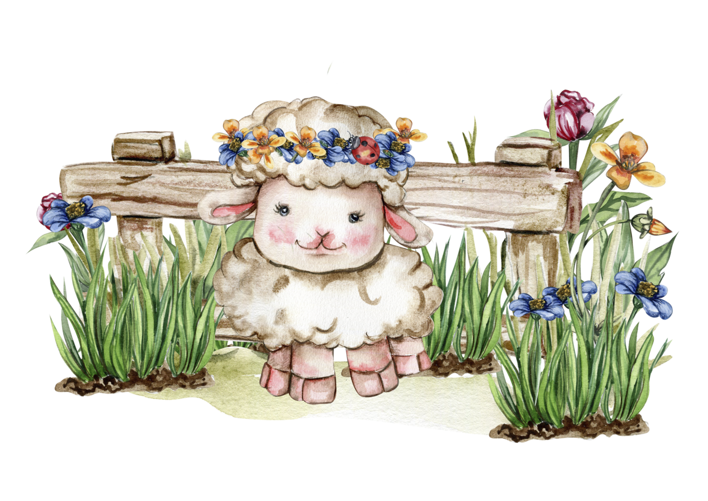 White fluffy sheep sitting in the grass with flowers and butterflies next to wooden fence. Watercolor hand drawn illustration of farm baby animal . Perfect for greetings card, poster, fabric pattern. png