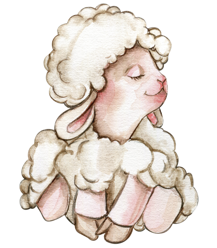 Watercolor hand drawn cute white fluffy sheep. Watercolor illustration of farm baby animal. png
