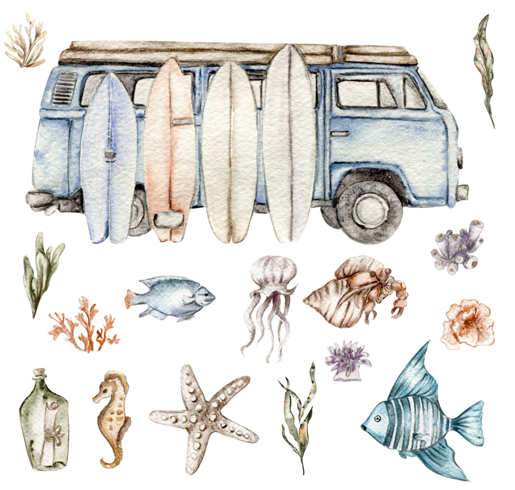 watercolor set of seashells, seahorse, starfish, bubbles. png