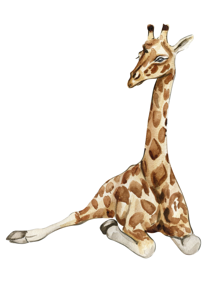 Watercolor giraffe illustration. png