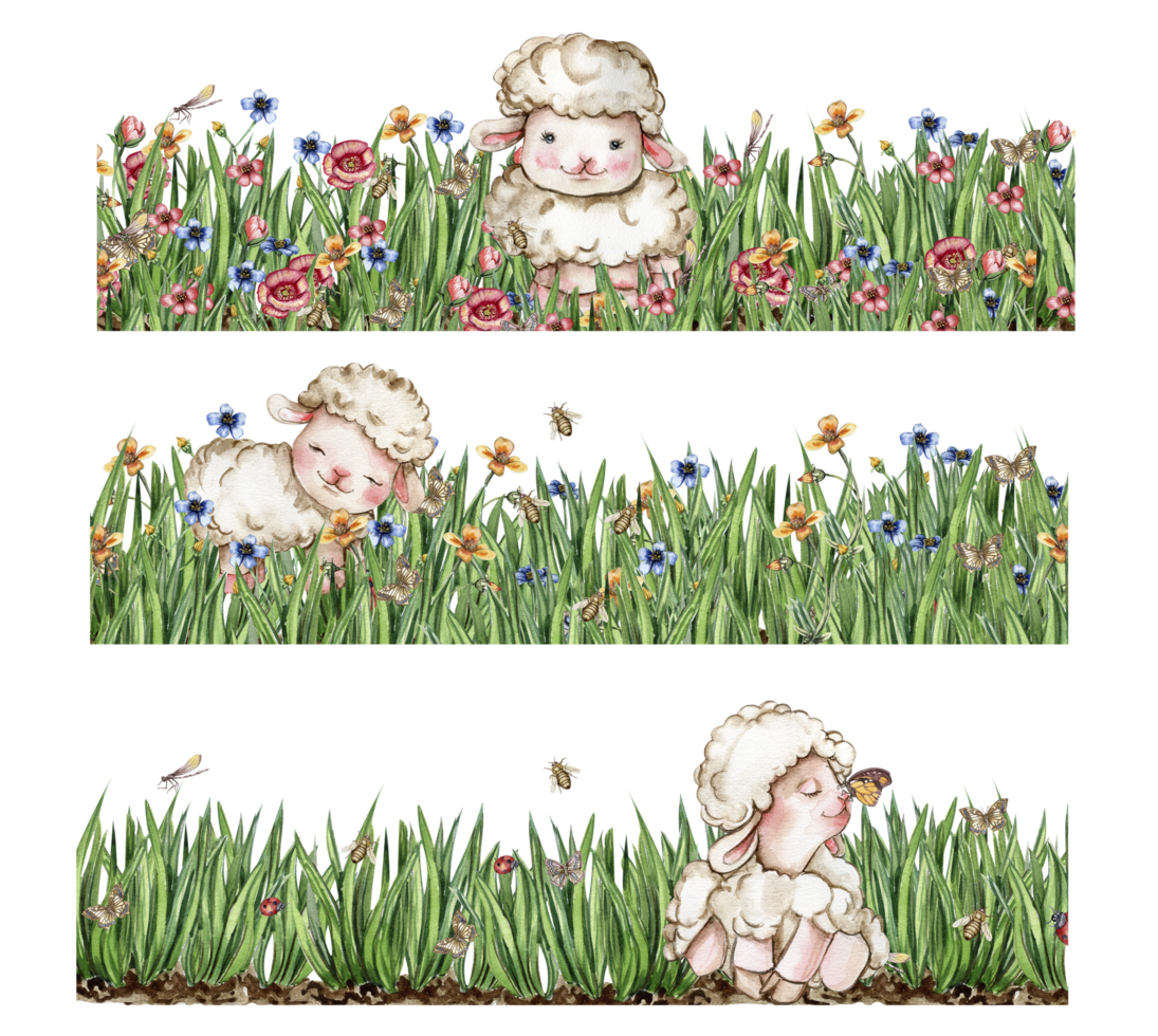 White fluffy sheep sitting in the field of grass with flowers and butterflies. Watercolor hand drawn illustration of farm baby animal . Perfect for greetings card, poster, fabric pattern. png