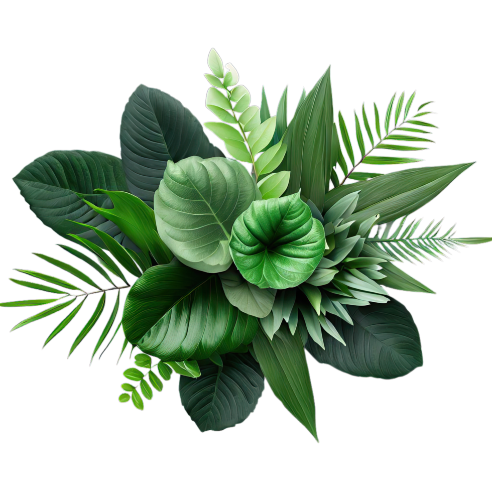 isolated tropical plant and summer tree png