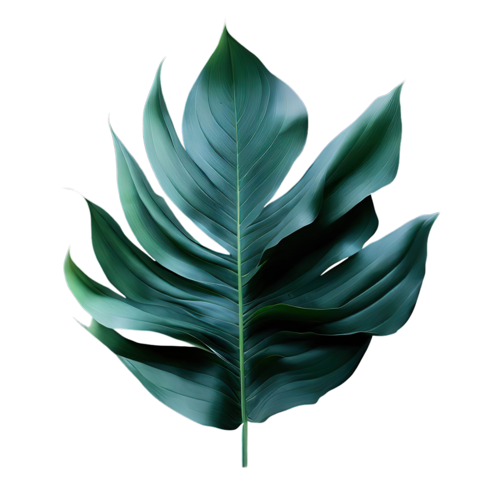 isolated tropical plant and summer tree png