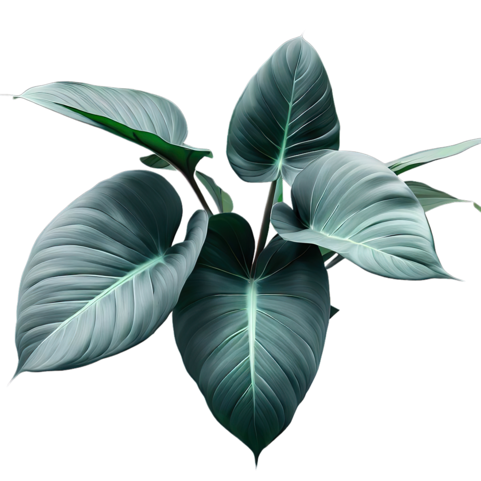 isolated tropical plant and summer tree png