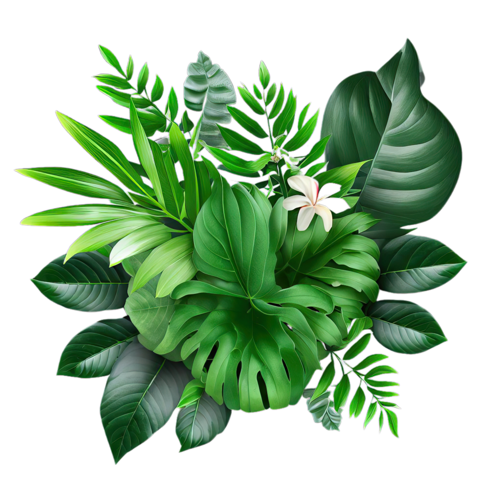 isolated tropical plant and summer tree png