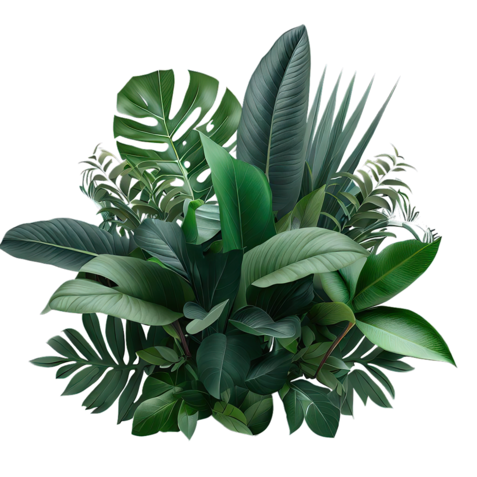 Tropical leaves foliage plant bush floral arrangement on