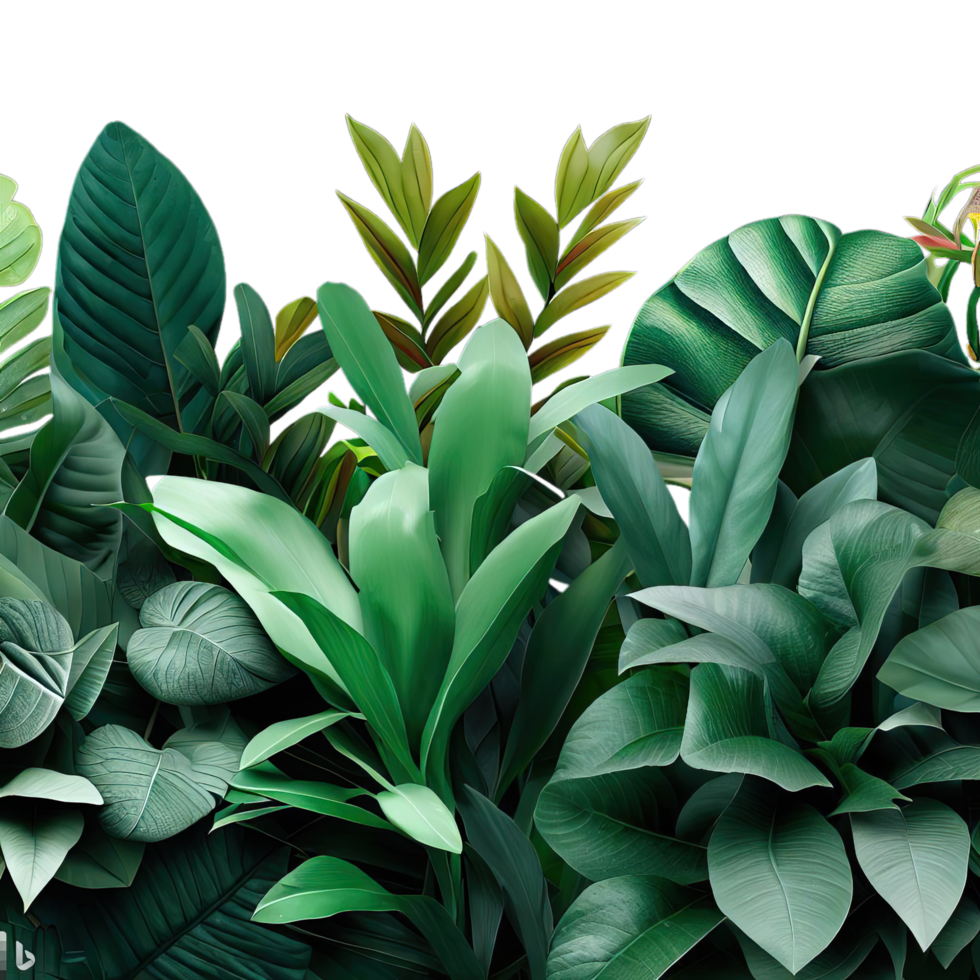 aislado tropical planta y verano árbol png