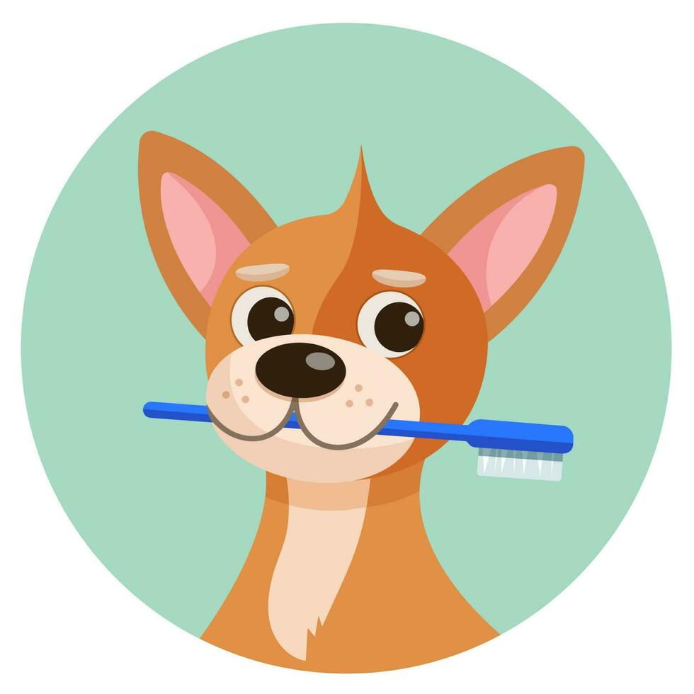 Pet care illustration for content, label, banner, graphic and greeting card. Pet care. Dog with a toothbrush. vector