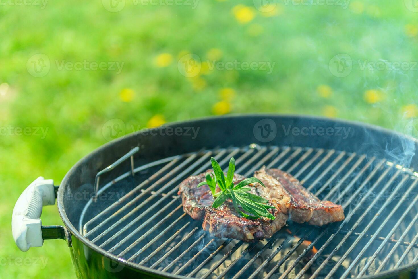 Delicious juicy steak roasting on a barbecue in spring sunlight photo