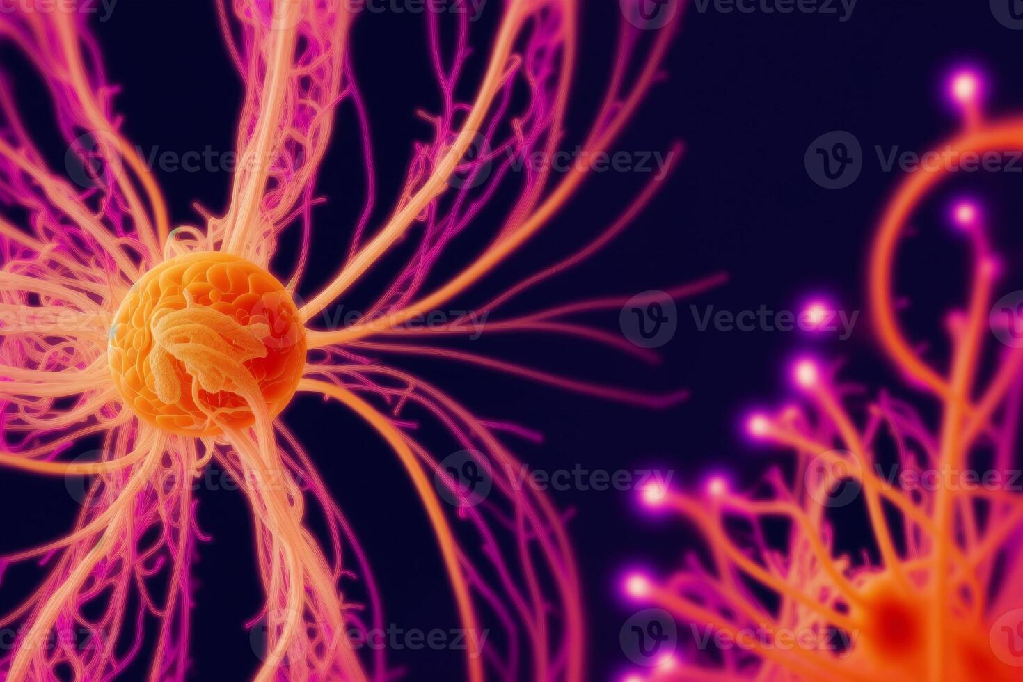 art with Illustration of human brain and nervous system. Exploring the Neurons and Central Nervous System. photo