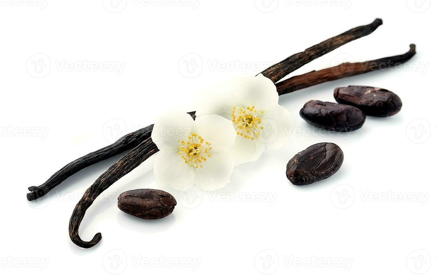 Vanilla and cocoa beans photo
