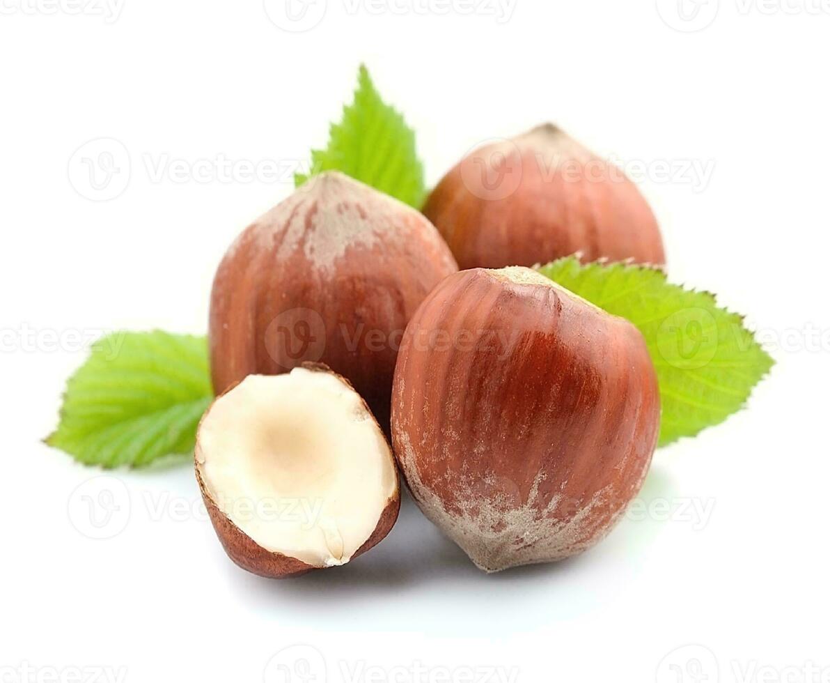 Filbert nuts with leaves. photo