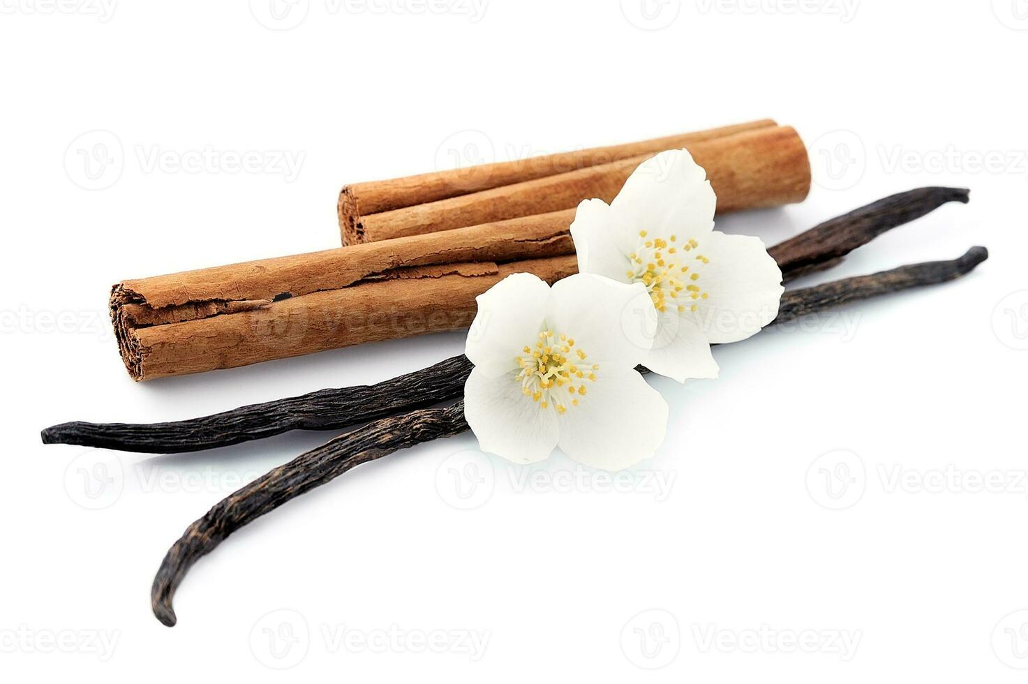 Vanilla sticks and cinnamon with flowers . photo