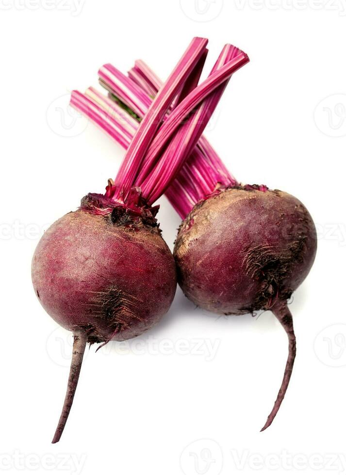 Young beet . photo