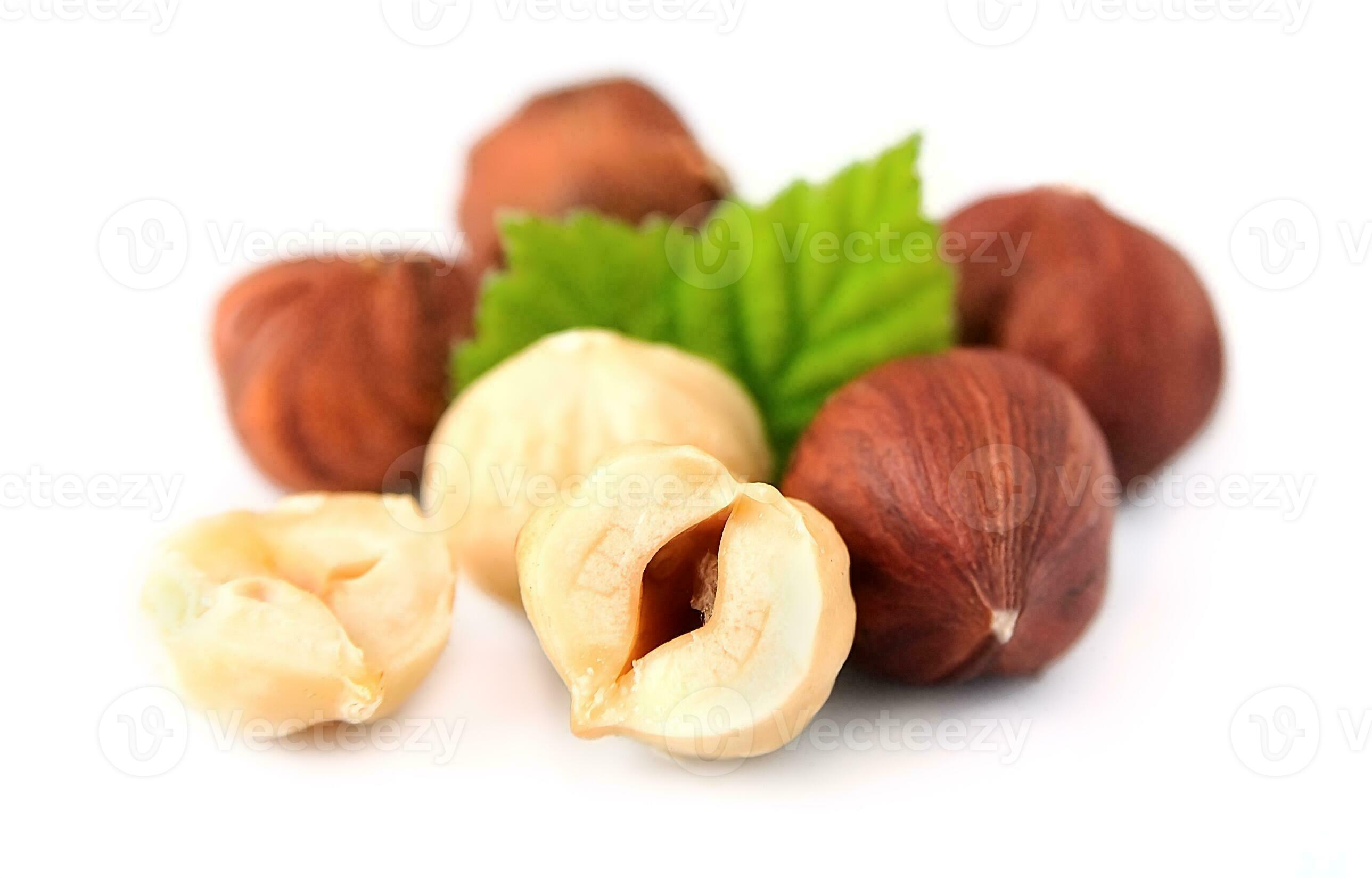 Filbert nuts with leaf . 24215016 Stock Photo at Vecteezy