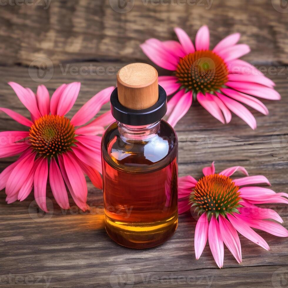 Echinacea oil and echinacea flowers on a wooden board. photo