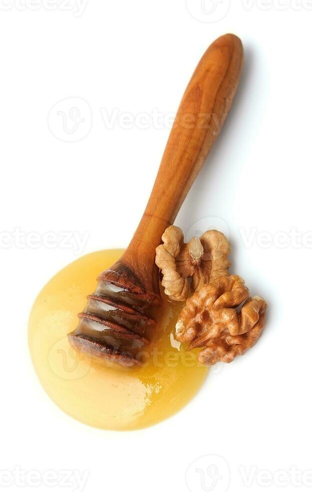 Honey dipper with walnuts. photo