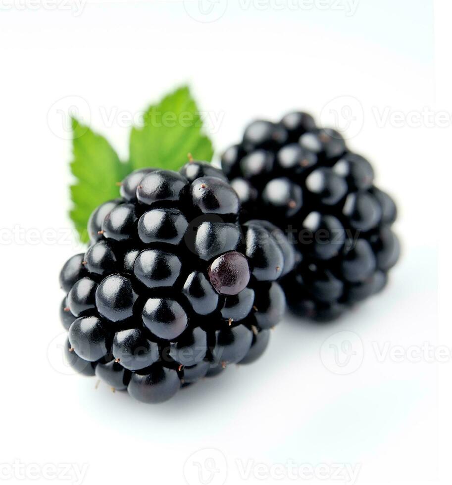 Sweet blackberries . photo