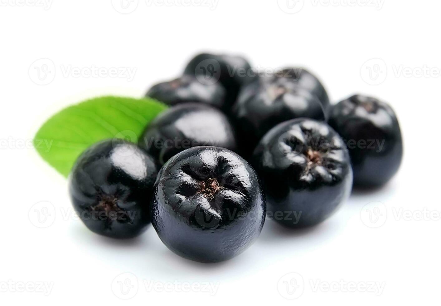 Black aronia berries. photo