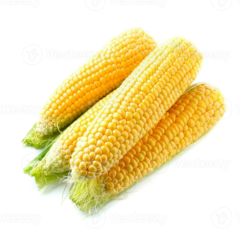 An ear of corn isolated. photo