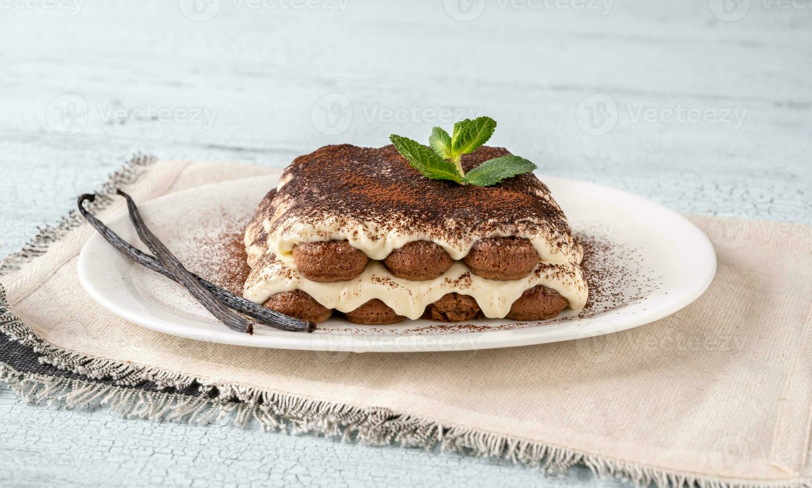 Portion of tiramisu photo