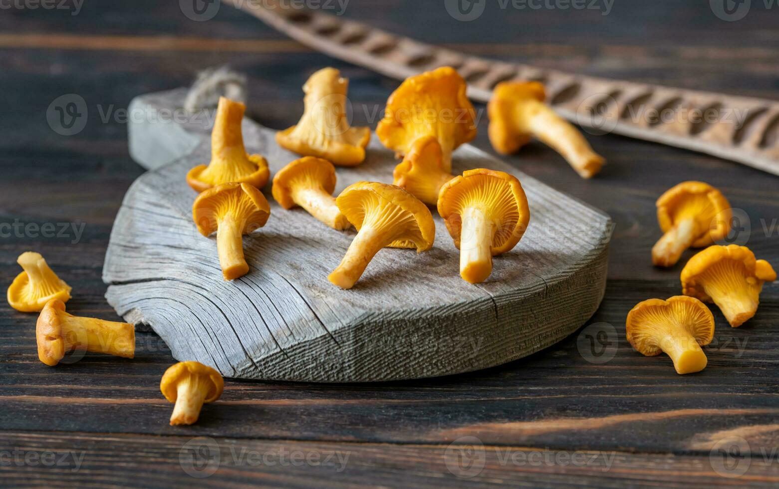 Fresh chanterelles closeup photo