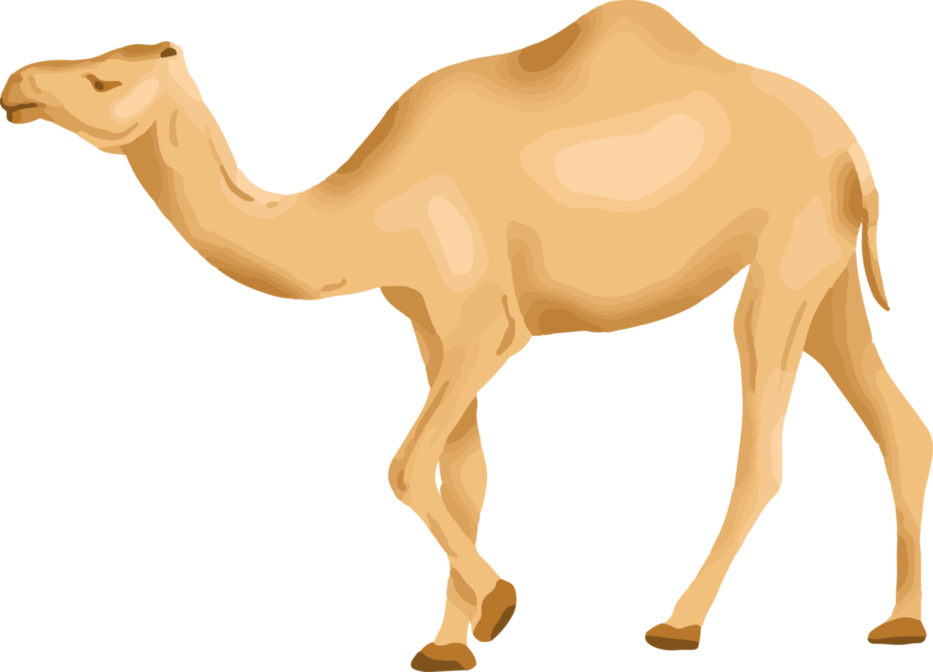 kameel dier korban voor eid al adha png