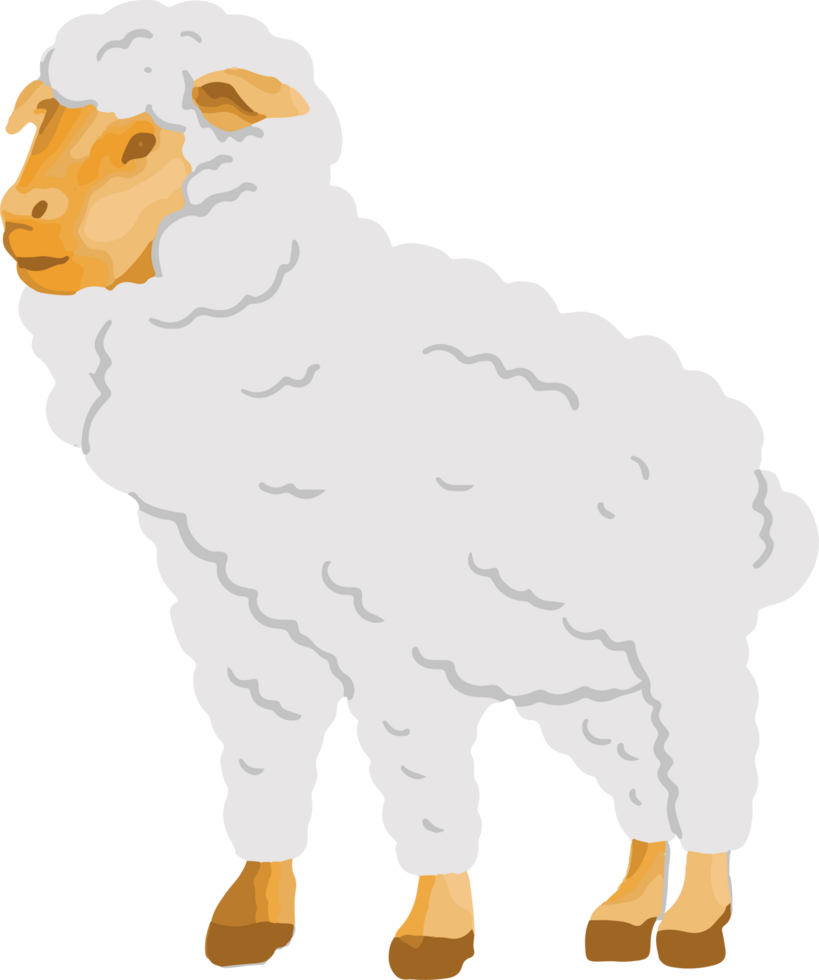 Sheep Animal Qurban for Eid Al Adha png