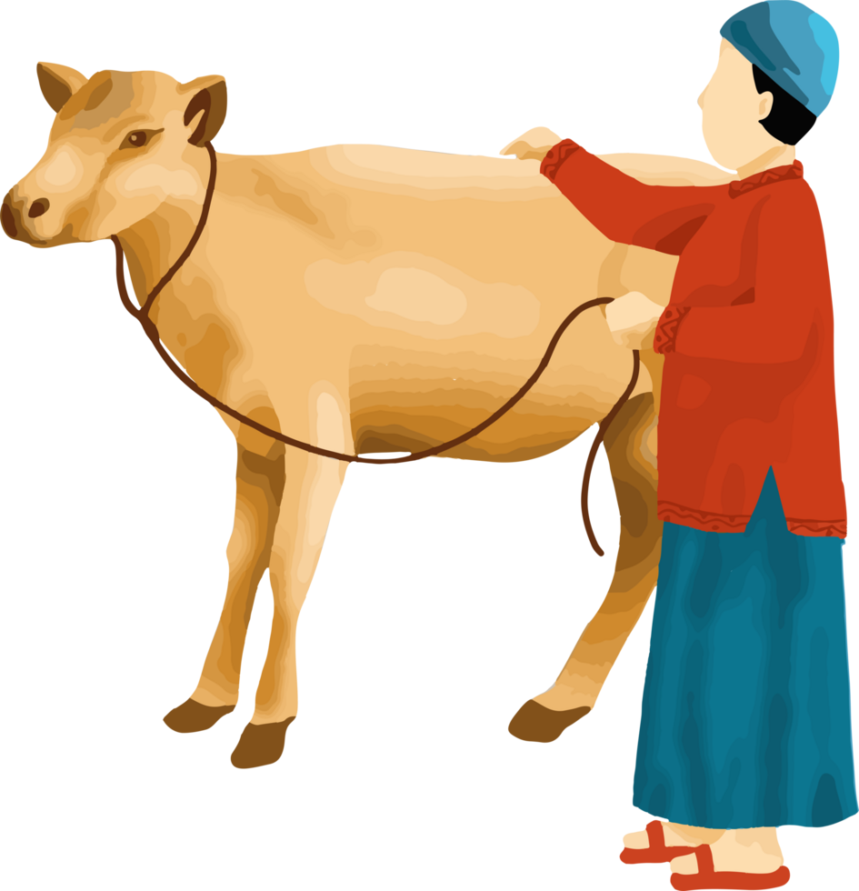 Muslim with Cow or animal Qurban for Eid Al Adha png