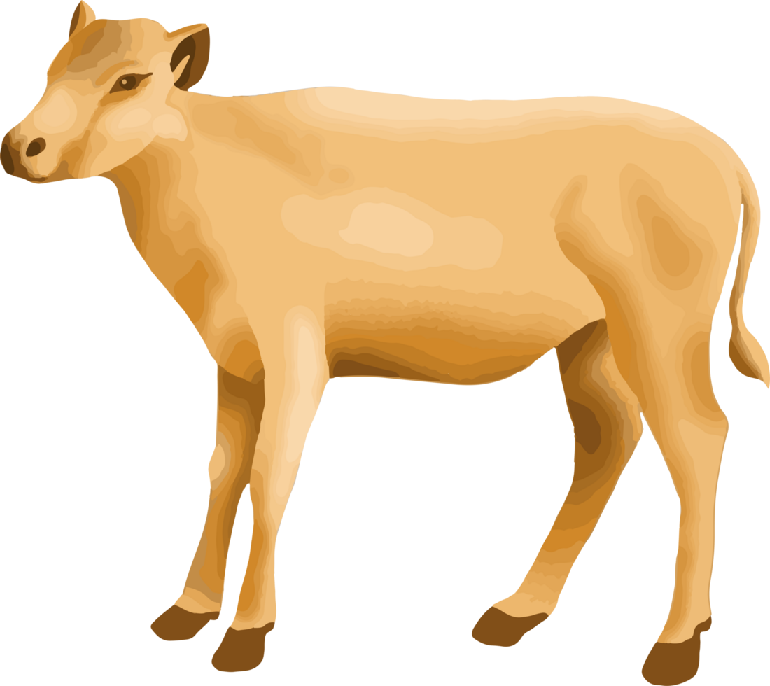 Cow Animal Qurban for Eid Al Adha png