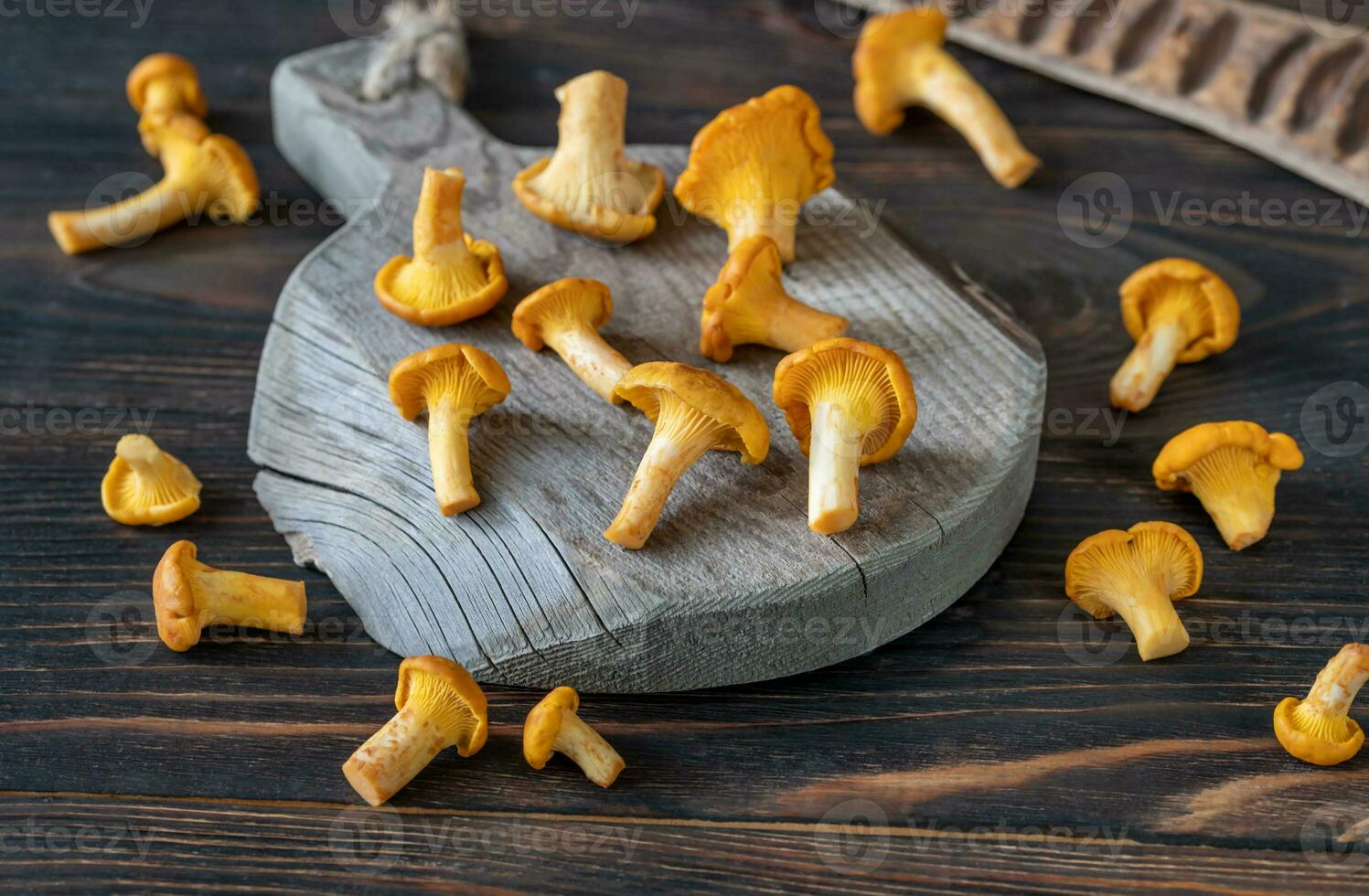 Fresh chanterelles closeup photo