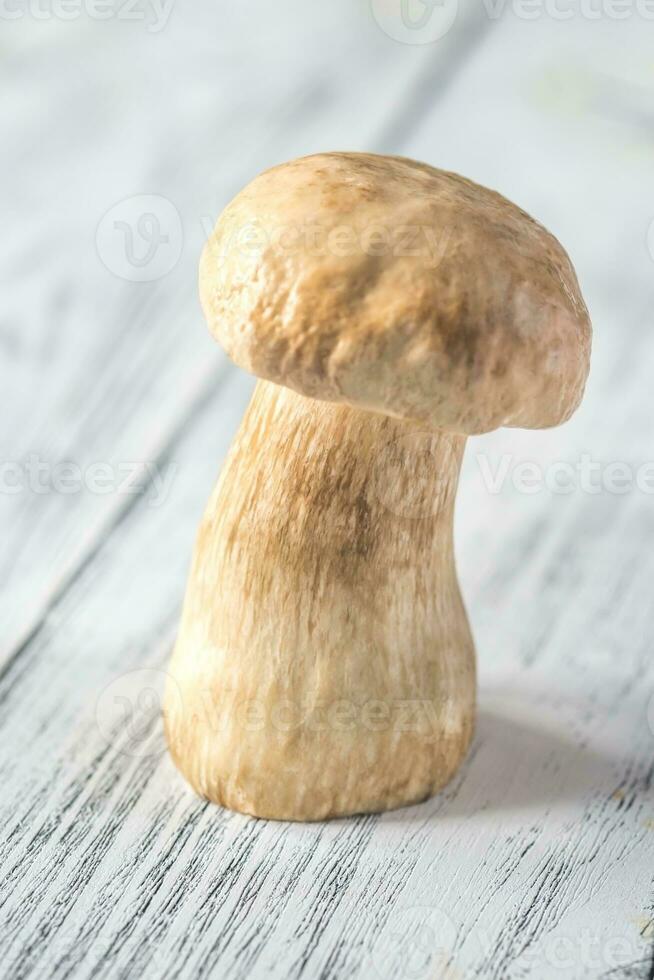Porcini mushroom on the wooden background photo