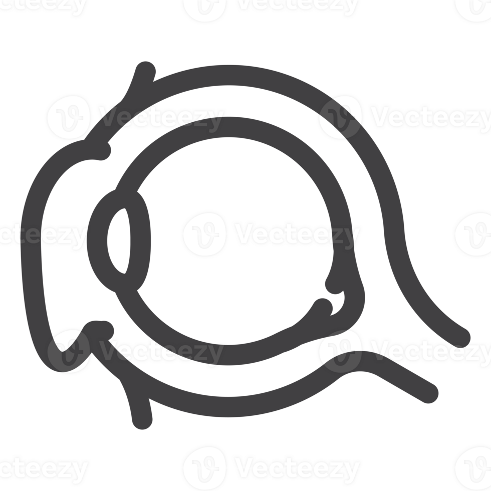 Humain œil, lentille concentrer à l'intérieur un globe oculaire, Facile mince ligne icône png