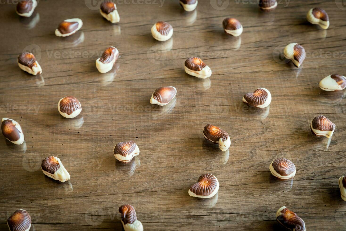 Seashells chocolates flat lay photo