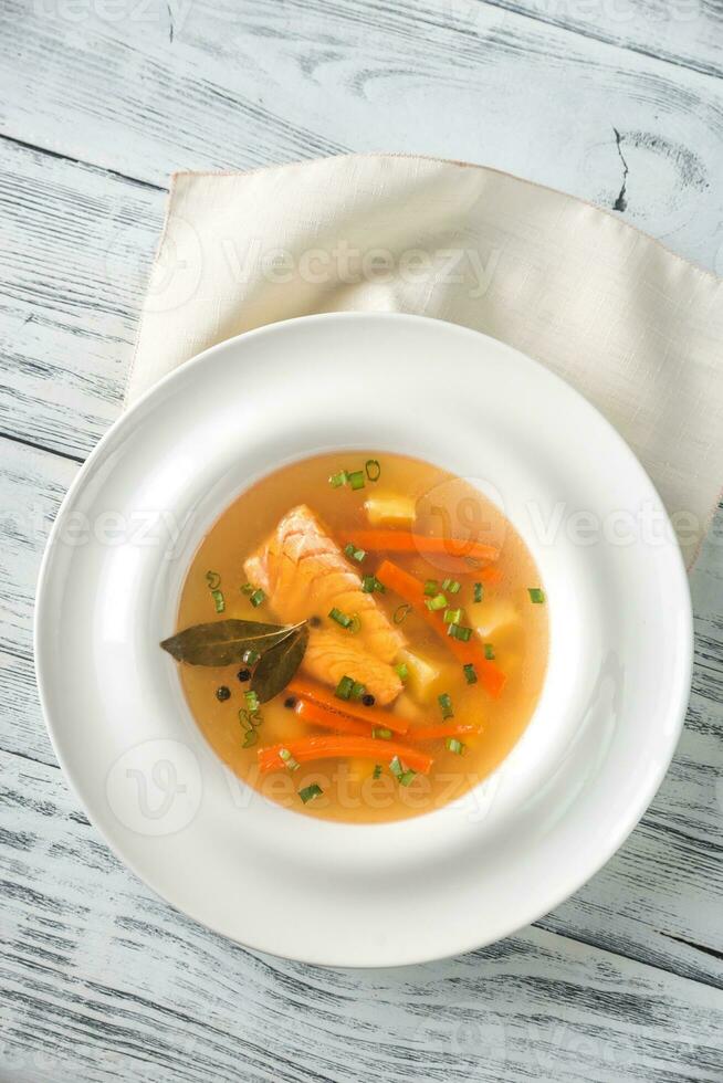 Portion of salmon soup photo