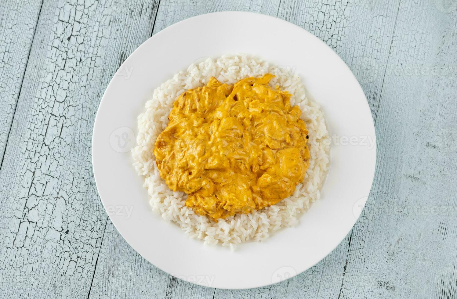 Portion of chicken curry photo